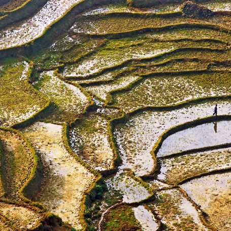 Vietnam - sapa_rismark_02