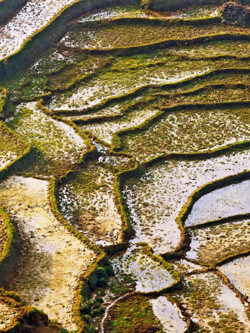 Vietnam - sapa_rismark_02