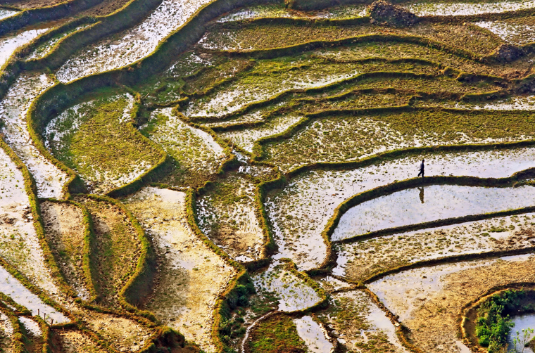 Vietnam - sapa_rismark_02