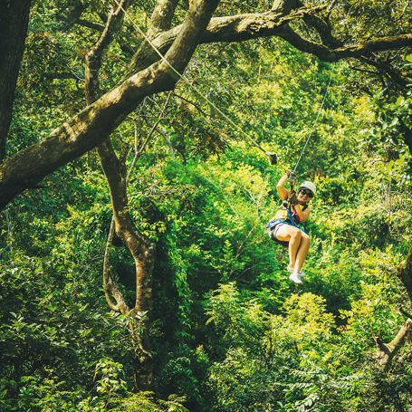 costa rica - monteverde_jungle_rapelling_08