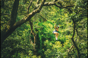 costa rica - monteverde_jungle_rapelling_08