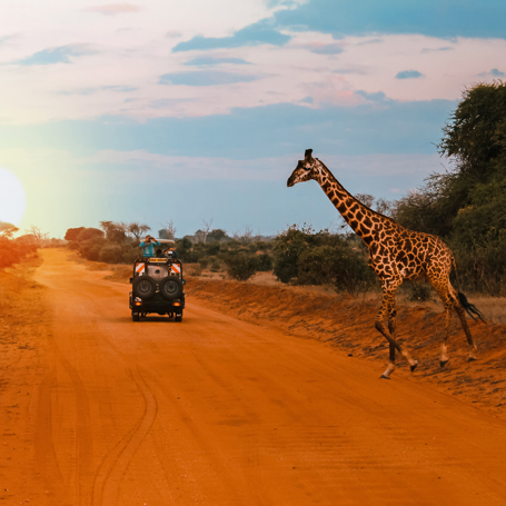 kenya_masai_mara_giraf_01