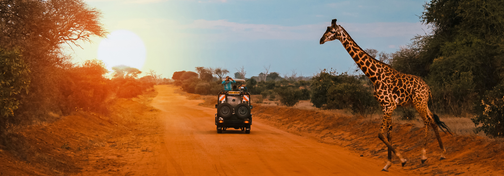 kenya_masai_mara_giraf_01