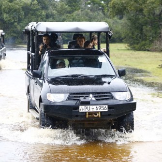 Safari Jeep Big Game Camp
