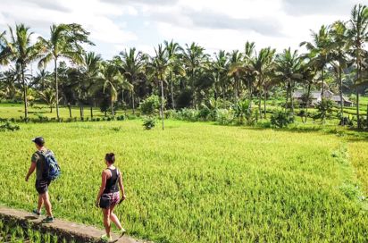 Lombok Tetebatu Vandring I Rismaker 1564837663