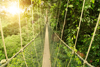 malaysia - Taman negara_01