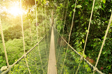 malaysia - Taman negara_01