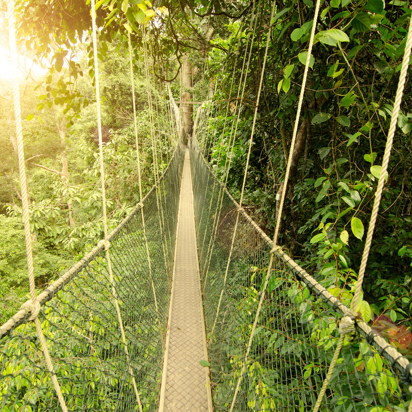 malaysia - Taman negara_01