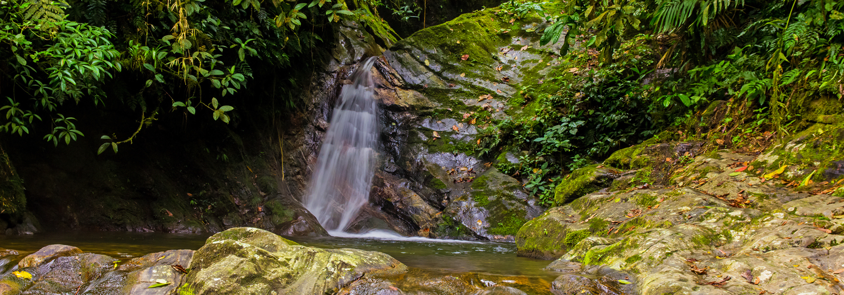colombia - colombia_sierra nevada_teyuna_ciudad perdida_lost city_03