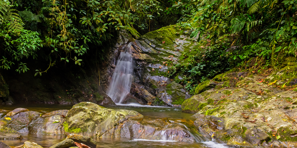 colombia - colombia_sierra nevada_teyuna_ciudad perdida_lost city_03