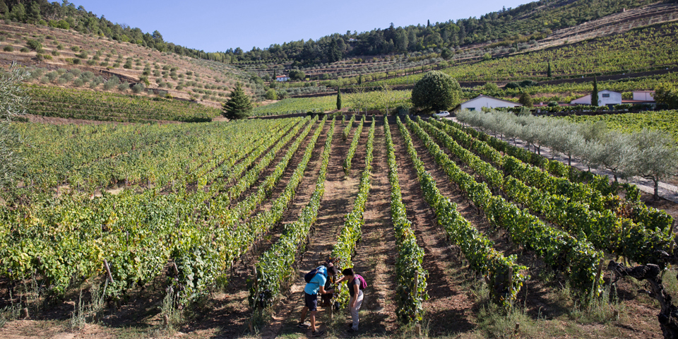 Douro_vandring_13