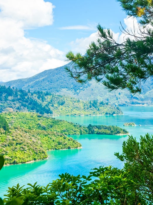 new zealand - marlborough sound_01