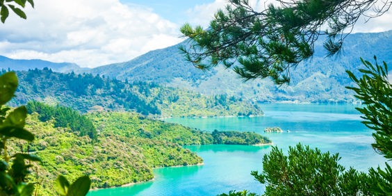 new zealand - marlborough sound_01