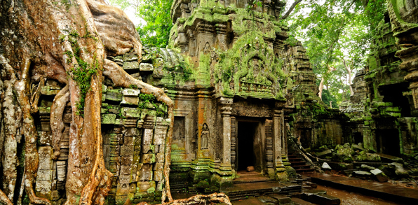 colombia - siem reap_ta prohm tempel_02