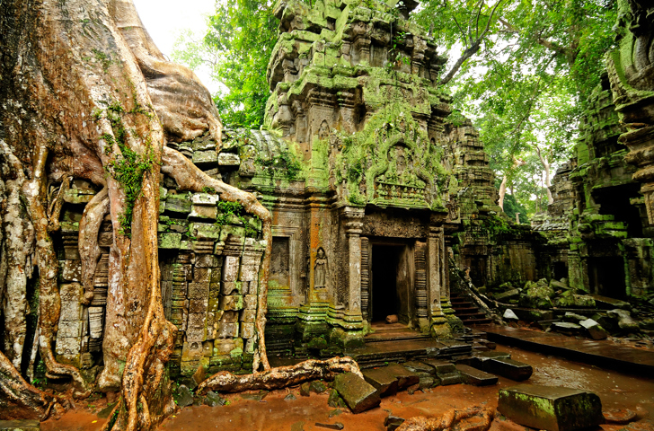 colombia - siem reap_ta prohm tempel_02