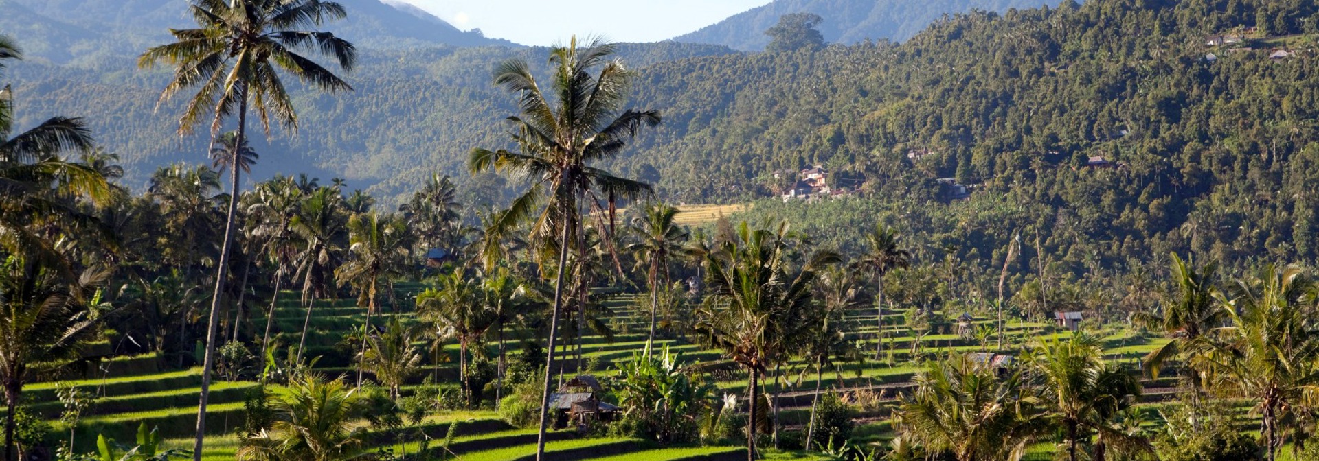 bali - munduk_rismark_01