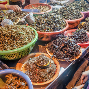 cambodia - phnom pehn_03