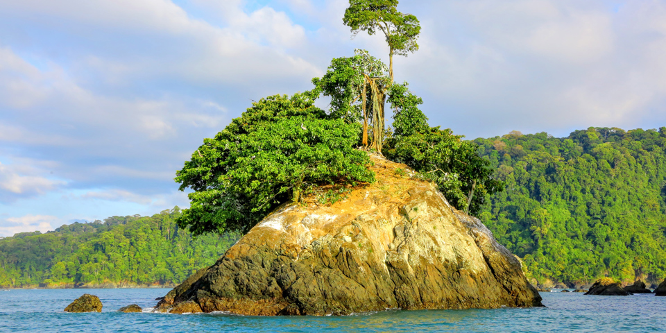 costa rica - Sierpe river_02