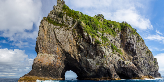 Bay Of Islands 06