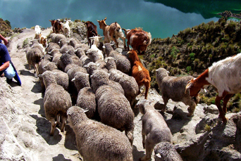 ecuador_quilotoa_faar_01_hf