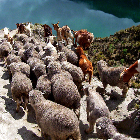 ecuador_quilotoa_faar_01_hf