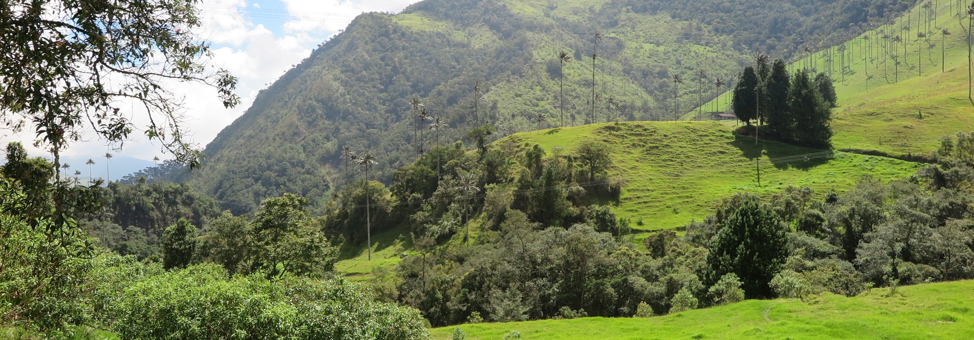 colombia - cocora dalen_bjerge_udsigt_03
