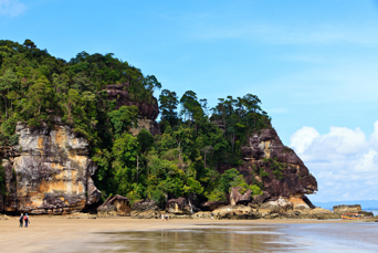 bako national park_06