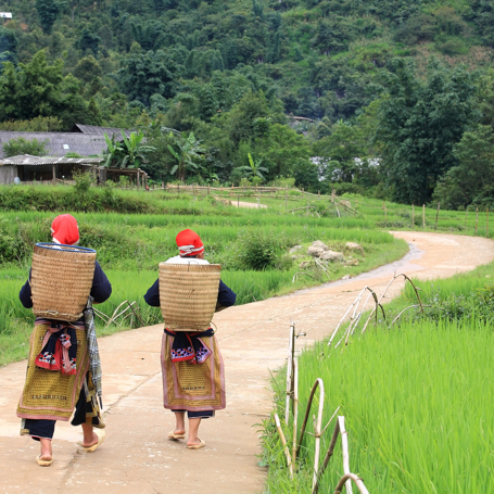 Vietnam - sapa_befolkning_landskab_01