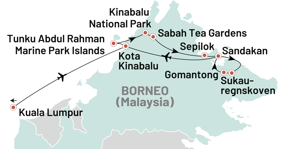 Borneo Ultimative Naturoplevelser 2025 (1)