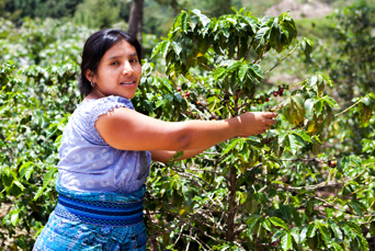 costa rica - kaffeplantage_kvinde_01