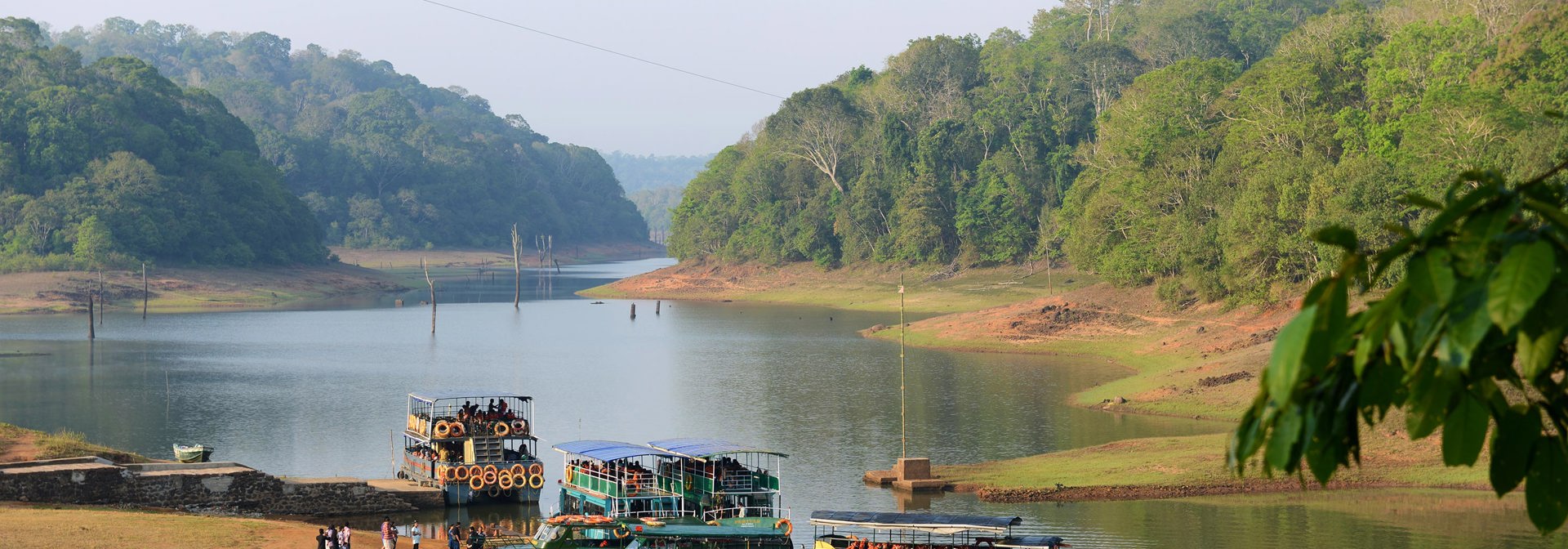 indien - periyar national park