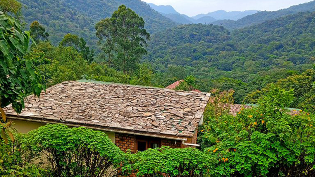 Haven Lodge Buhoma 6