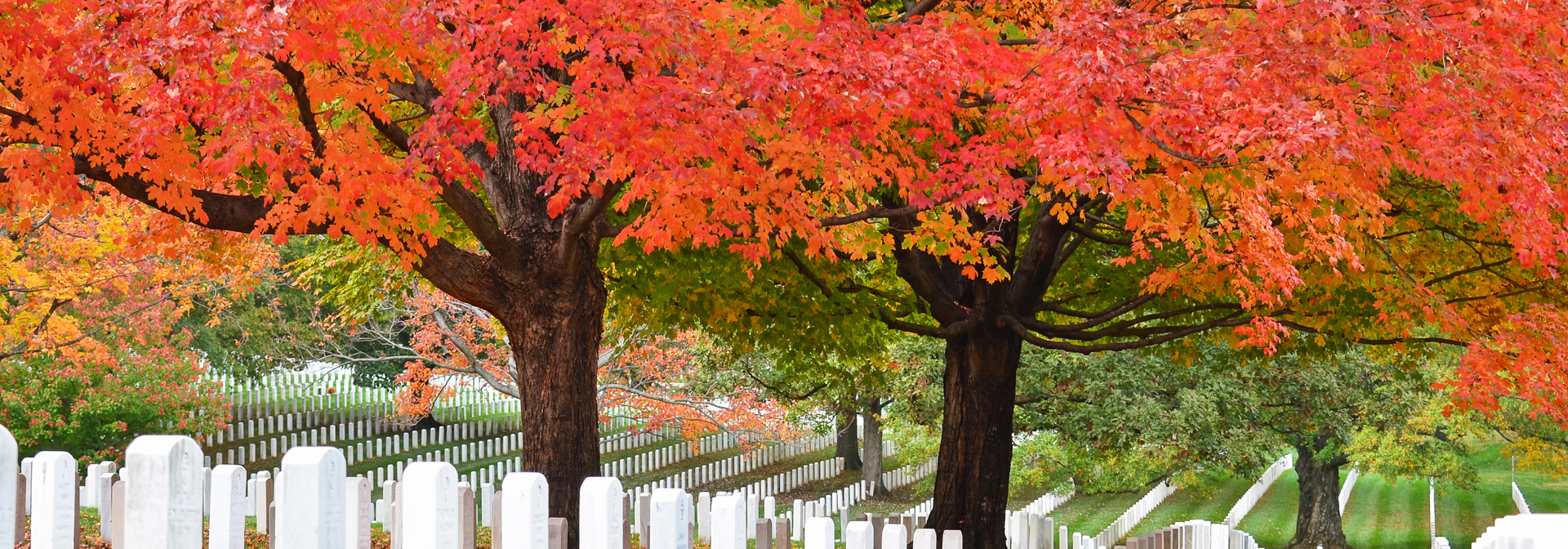 usa - washington_arlington_cemetery_02