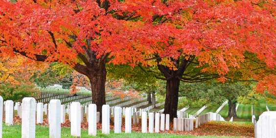 usa - washington_arlington_cemetery_02