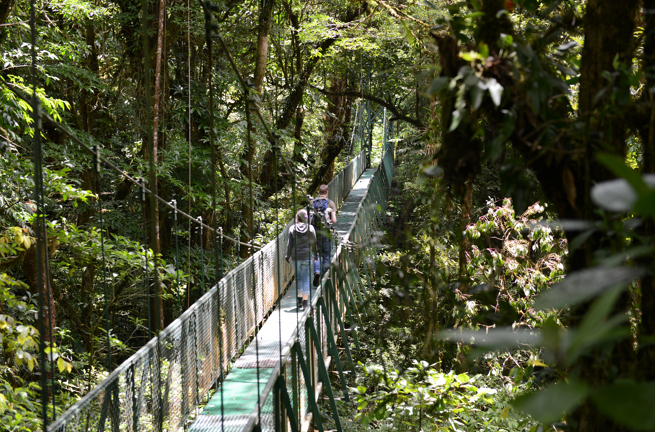 costa rica - monteverde_jungle_haengende_bro_05