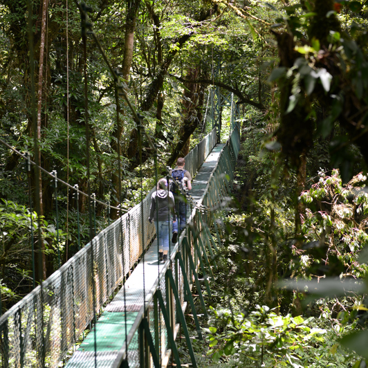 costa rica - monteverde_jungle_haengende_bro_05