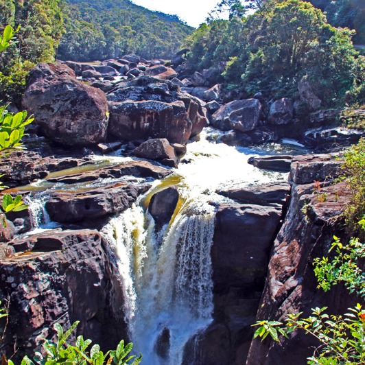 ranomafana_nationalpark_01