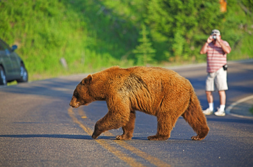 usa - wyoming_yellowstone national park_bjoern_01.02