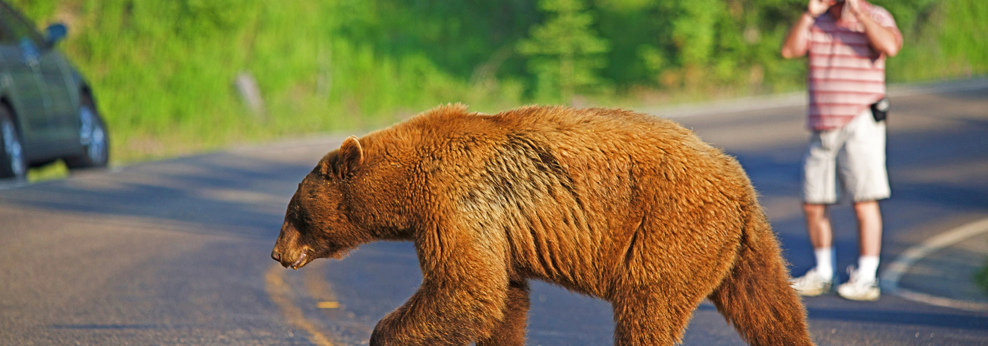 usa - wyoming_yellowstone national park_bjoern_01.02