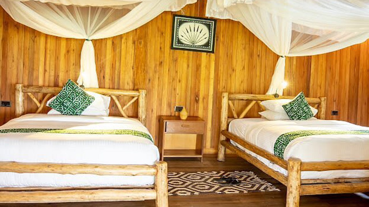 Elephant Hab Lodge 5