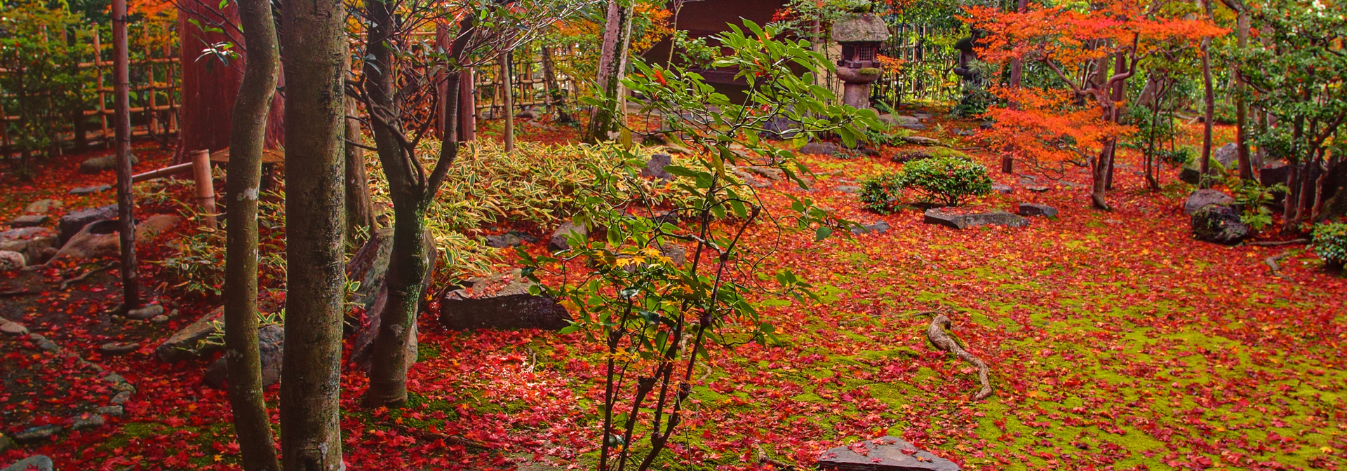 japan - kyoto_japansk have_01