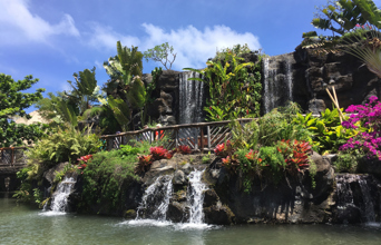 Dagen slutter i Polynesian Cultural Center, hvor vi hører om den polynesiske kultur.