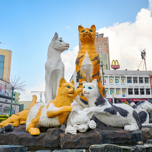 kuching_kattemonument_01