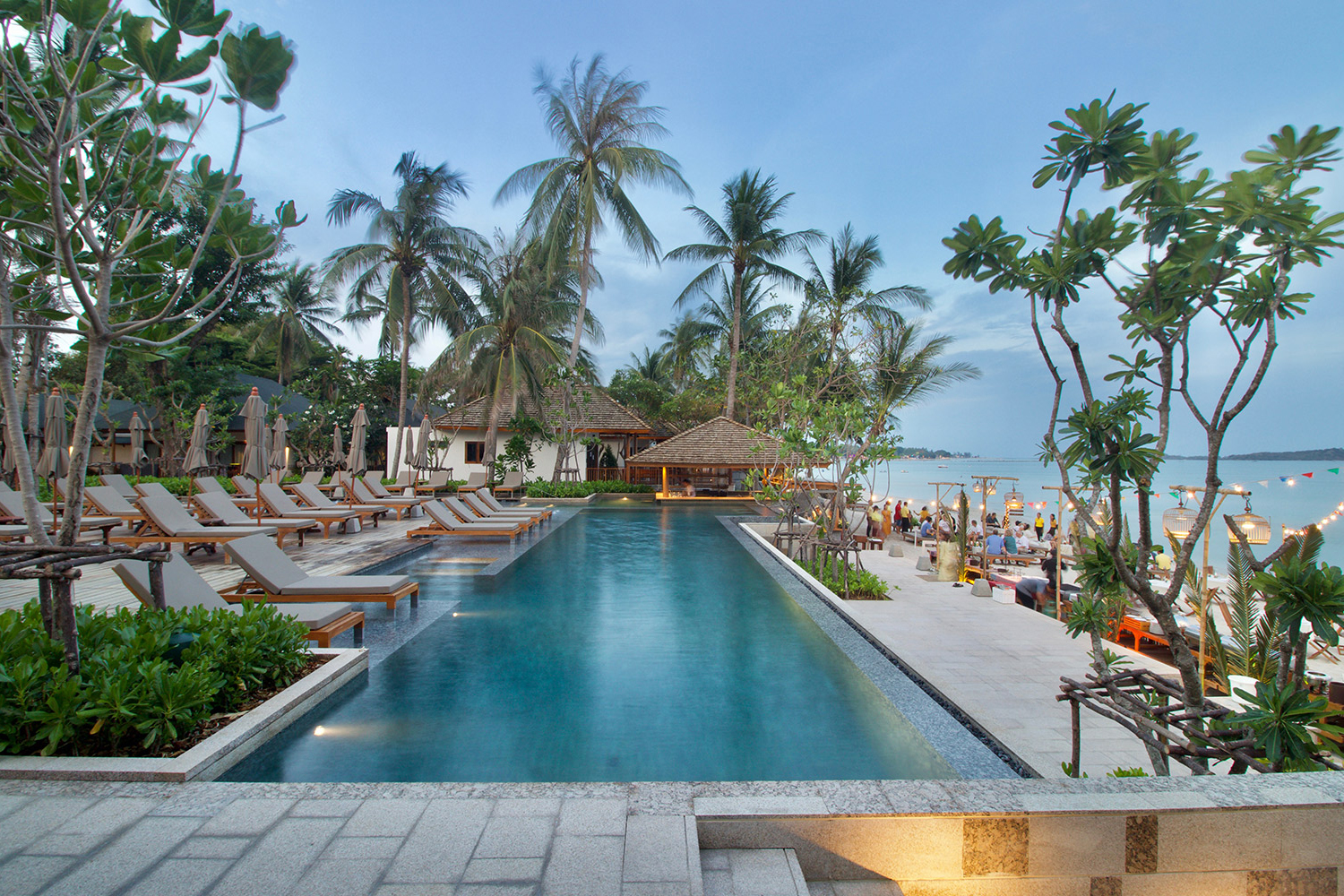 thailand - Banana Sea Fan_pool_04