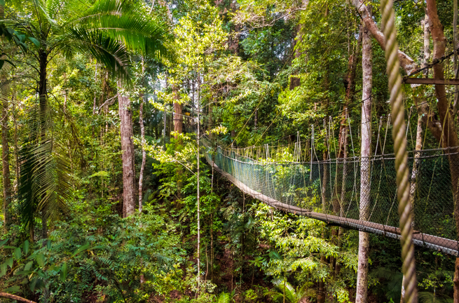 malaysia - Taman negara_05