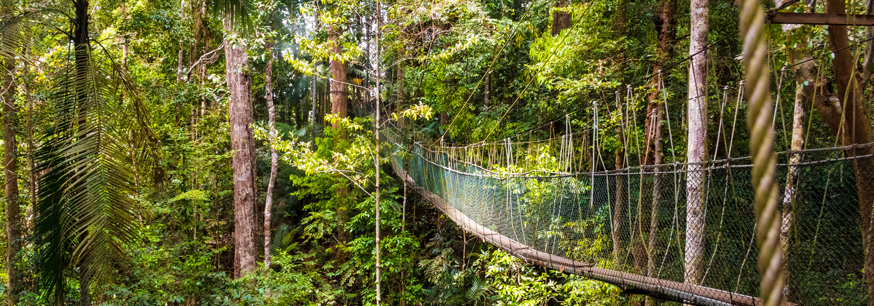 malaysia - Taman negara_05