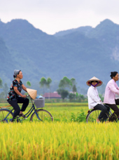 vietnam - vietnam_rismark_cykel_01