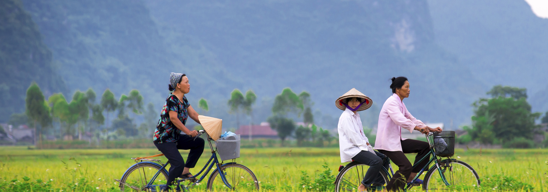 vietnam - vietnam_rismark_cykel_01