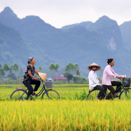 vietnam - vietnam_rismark_cykel_01