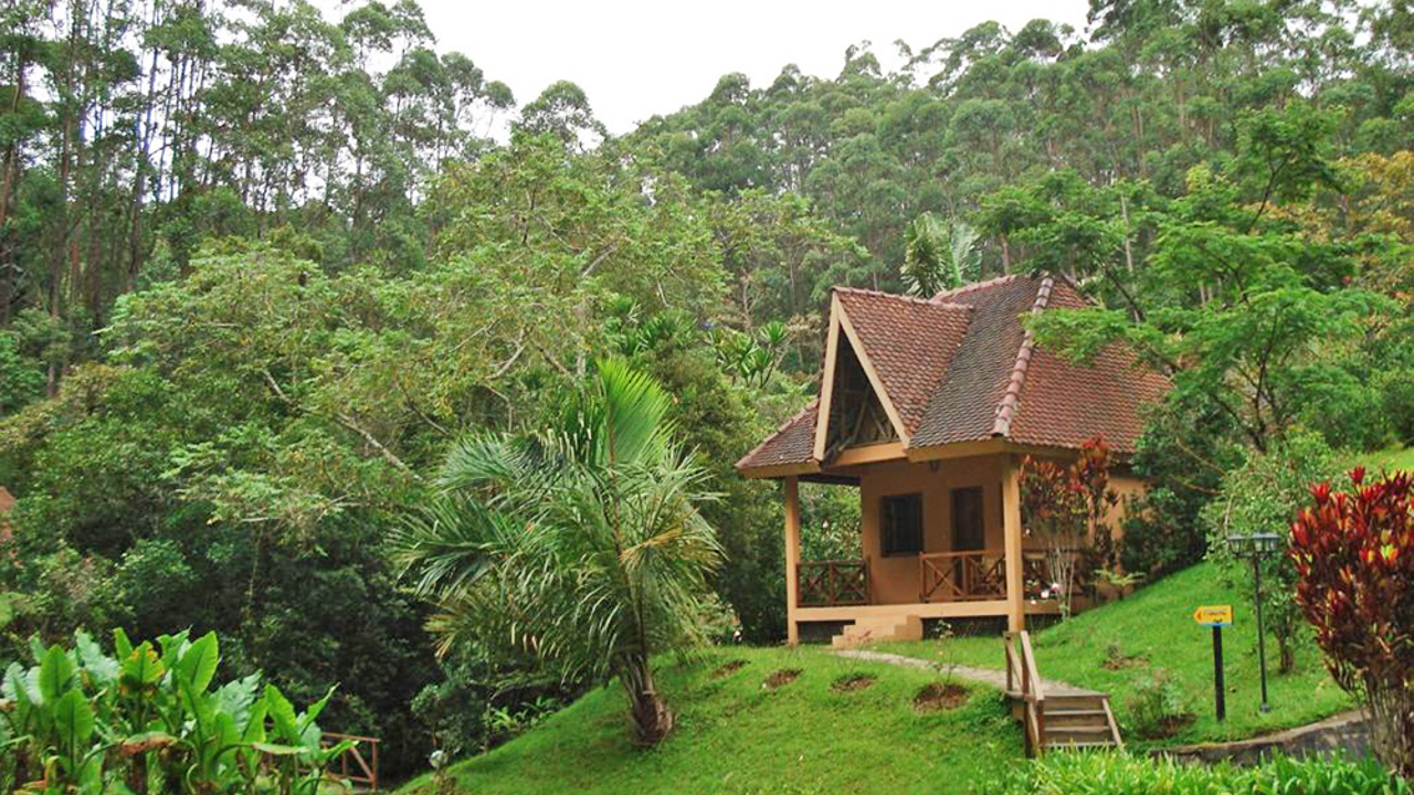 vakona forest lodge_vaerelses hytter_natur_udendoersareal_05